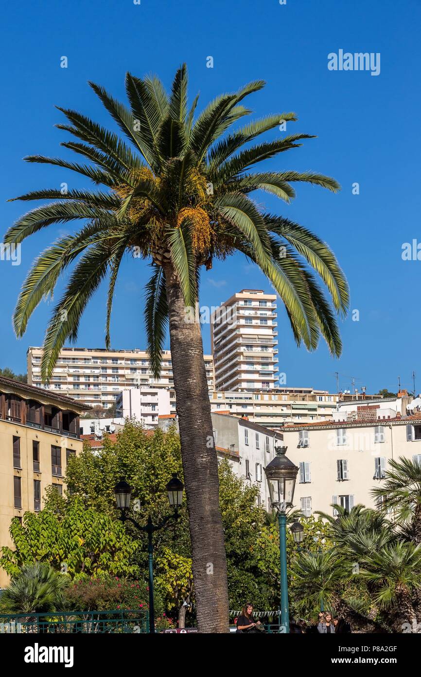 ILLUSTRATION DE LA CORSE DU SUD, (2A) Corse-du-Sud, France Banque D'Images