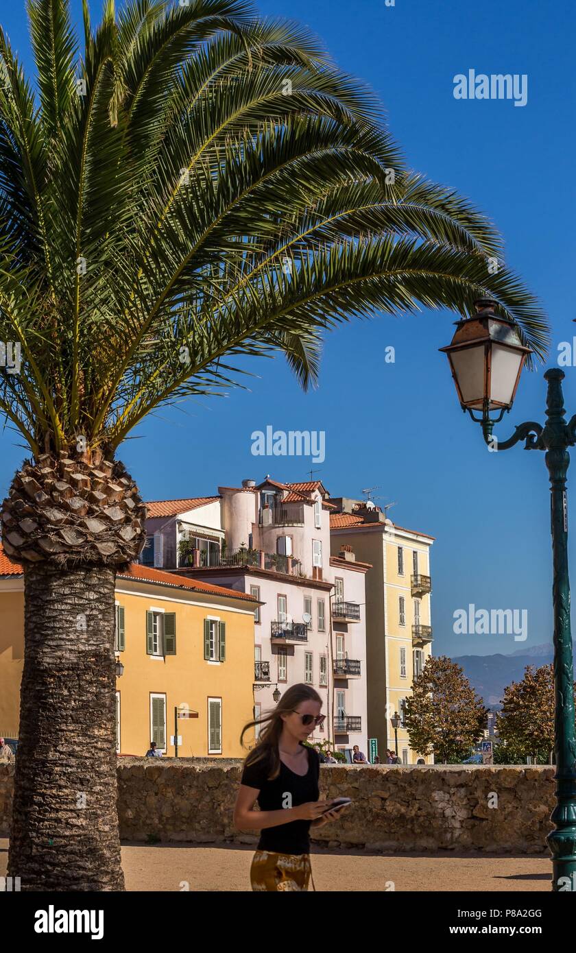 ILLUSTRATION DE LA CORSE DU SUD, (2A) Corse-du-Sud, France Banque D'Images