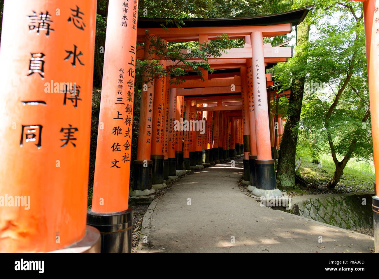 Torii gates au Sanctuaire Fushimi Inari à Kyoto, au Japon. Banque D'Images
