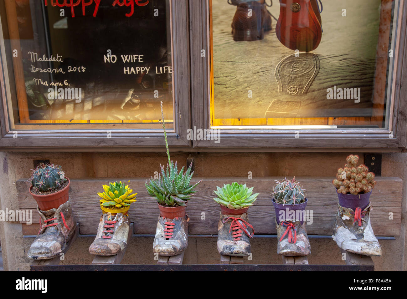 Maniques excentrique avec plantes grasses sur l'écran (Montepulciano - Toscane - Italie). Cache-pots farfelus avec plantes graminées. Banque D'Images