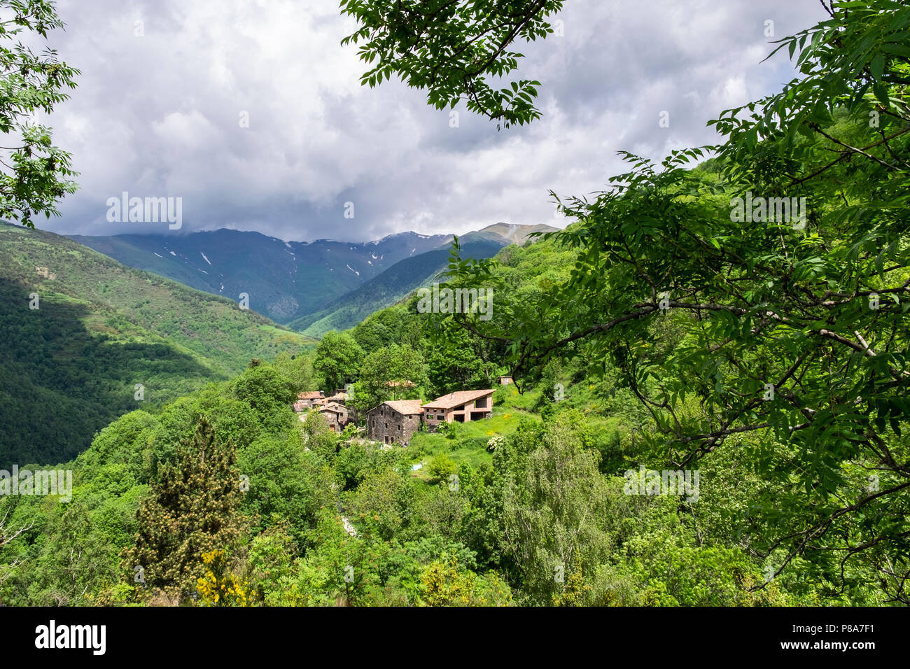 Vue sur les pâturages et les fermes à la Riba en Pyrénées Catalanes en été, l'Espagne Banque D'Images