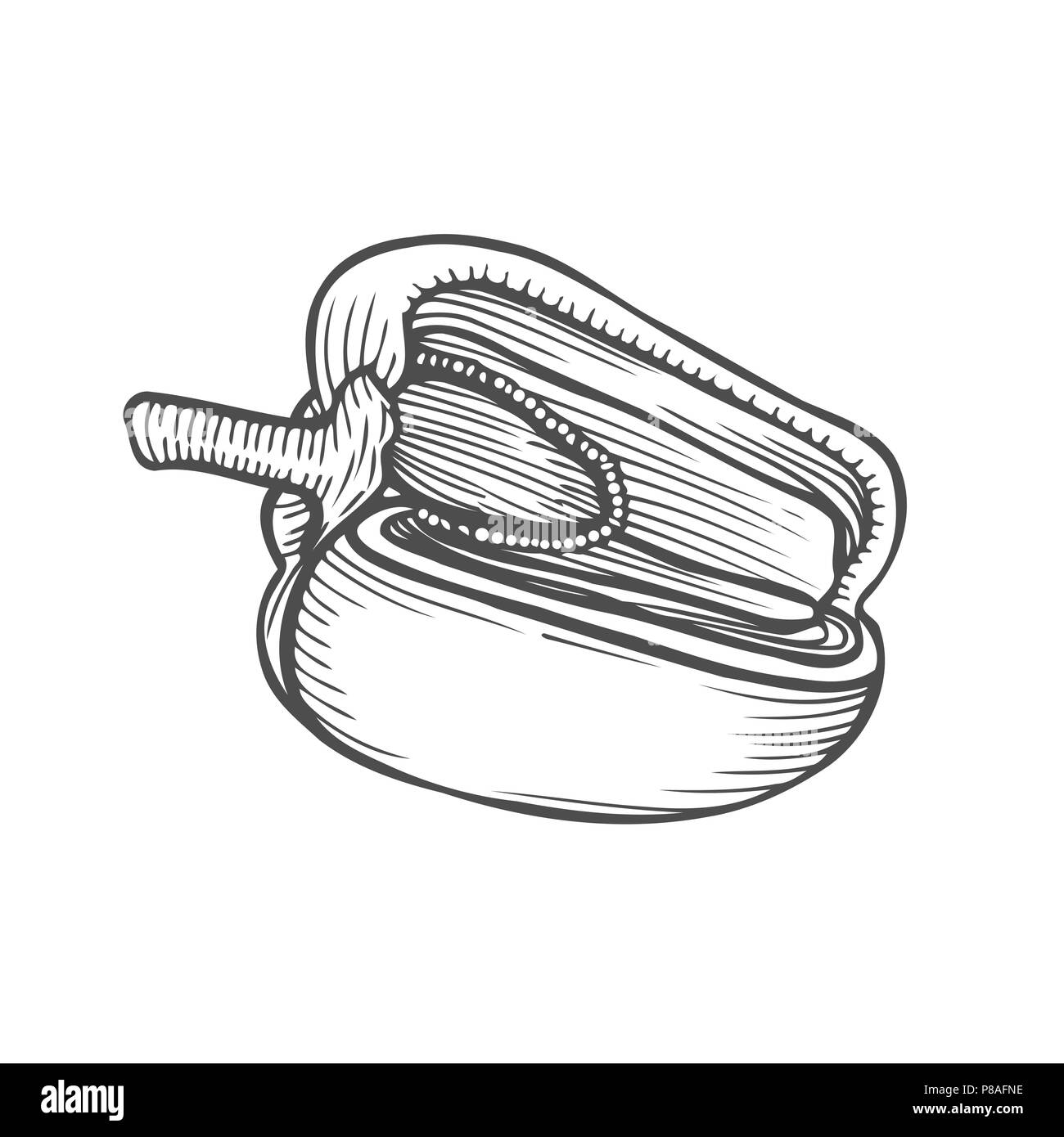 La moitié du poivre hand drawn vector illustration. Objet de style gravé de légumes. Poivron isolé. La nourriture végétarienne détaillé dessin. Marché à la ferme produ Illustration de Vecteur
