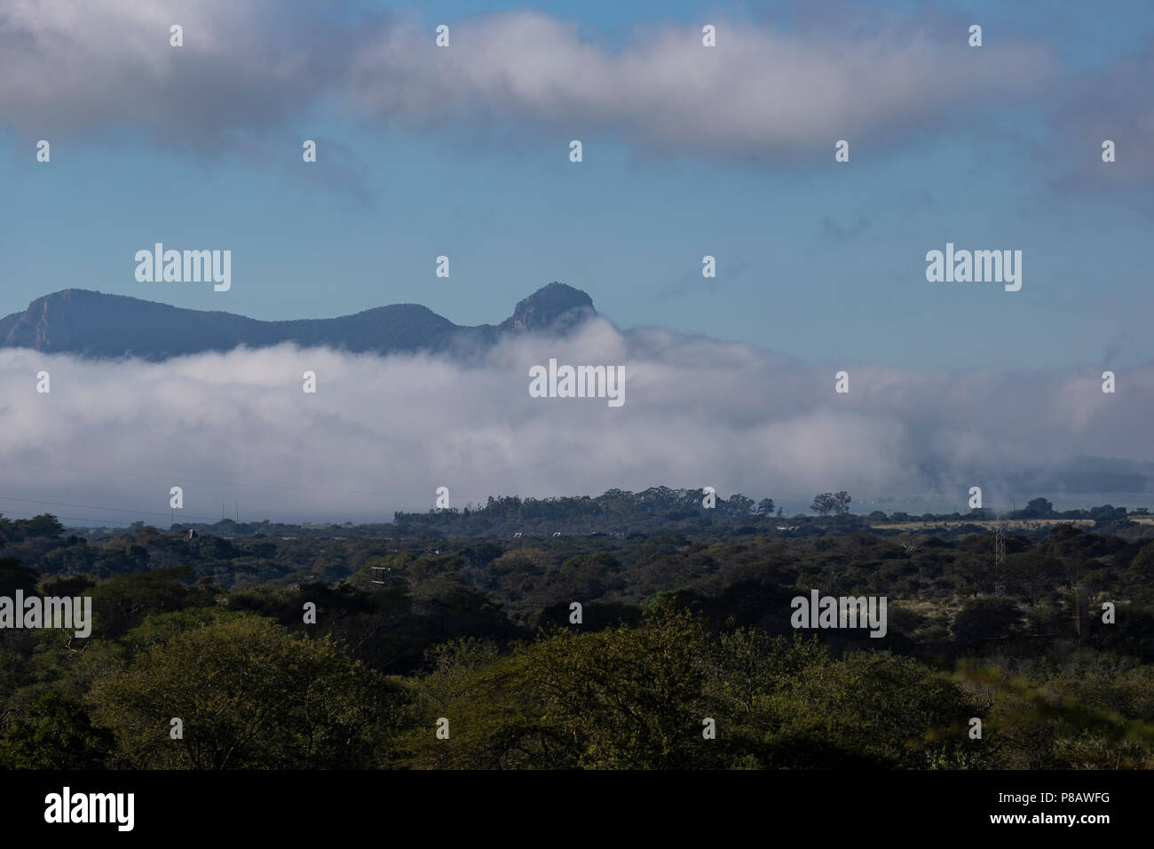 Vue de Ghost Mountain dans la province du KwaZulu Natal Afrique du Sud avec brume matinale se trouvant sur le Zimanga Private Game Reserve Banque D'Images