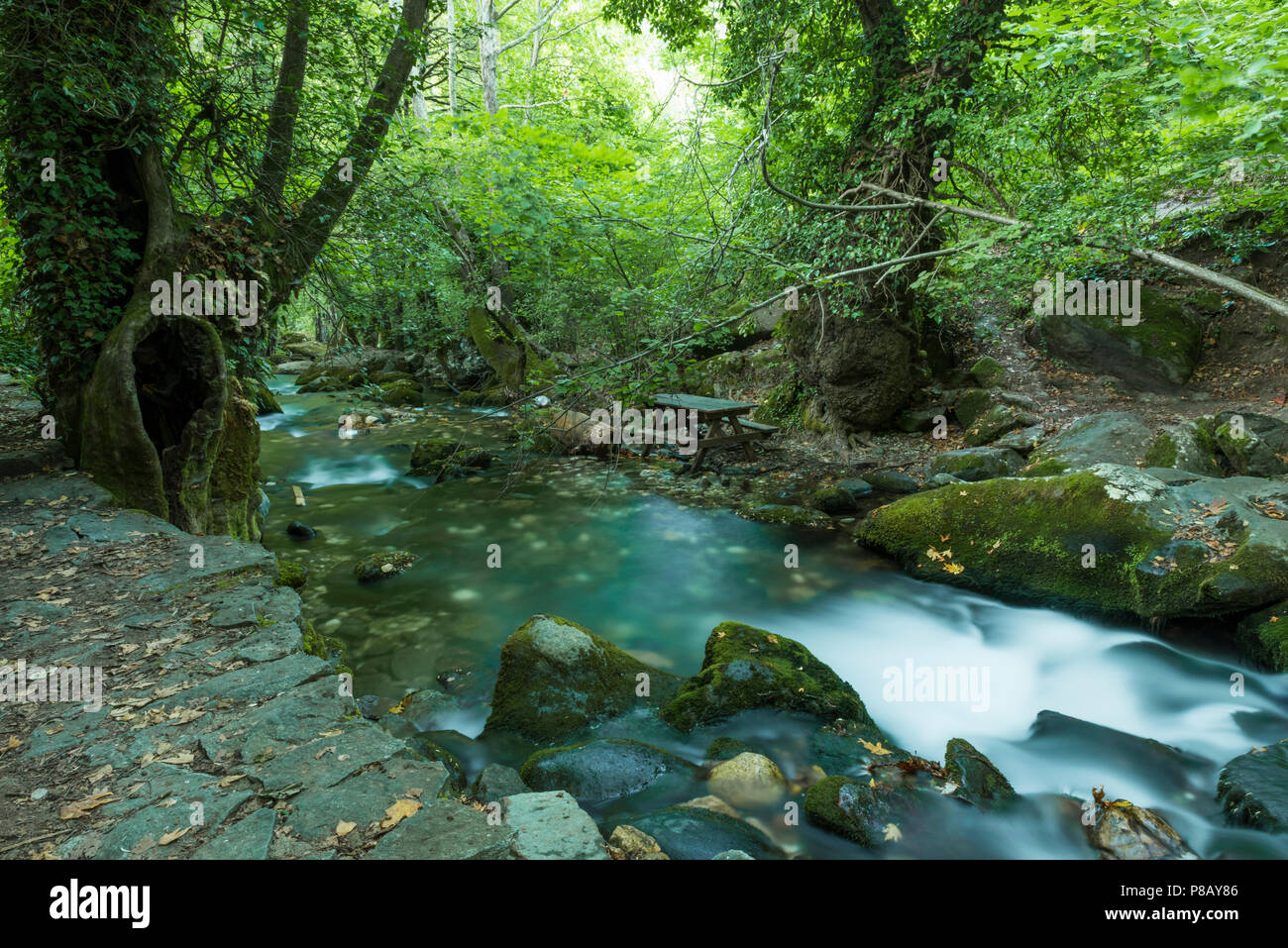 Belle cascade en forêt, l'été, long exposure Banque D'Images