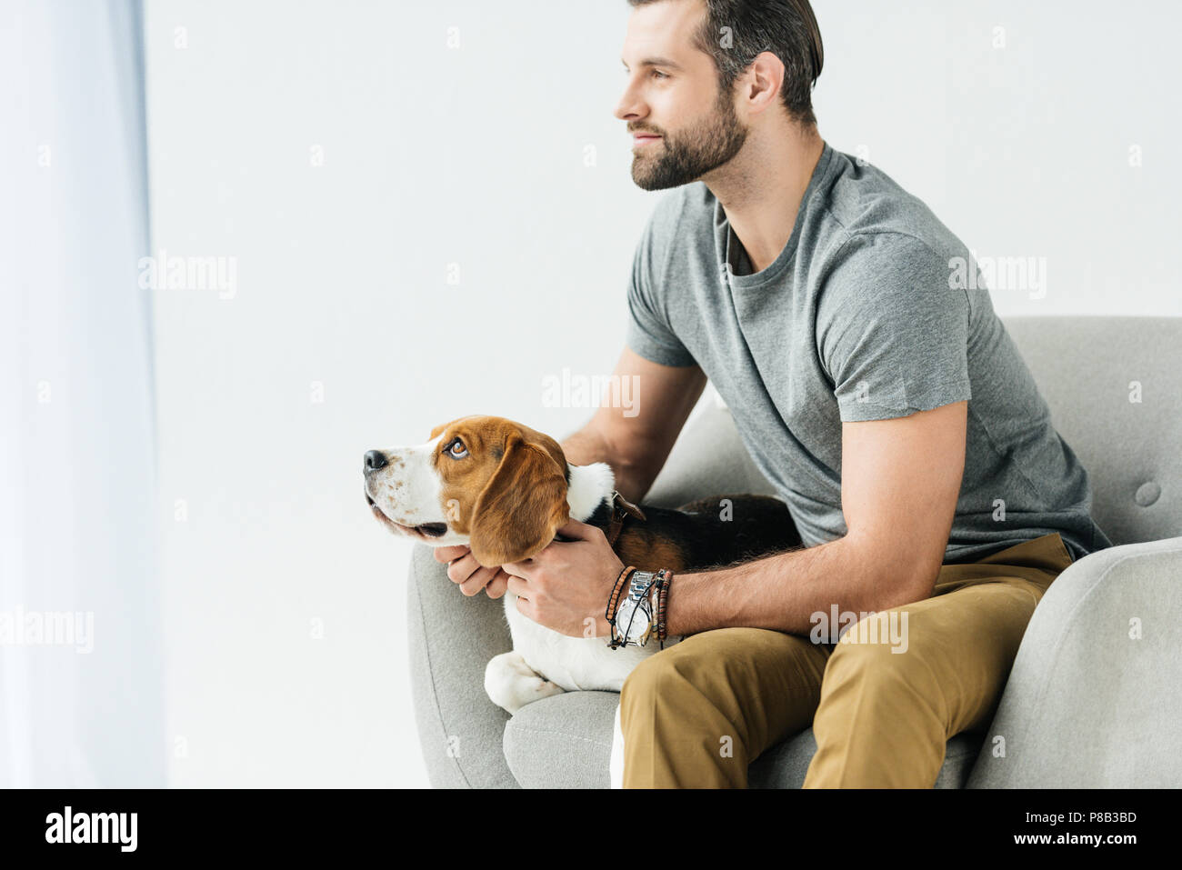 Vue latérale du bel homme assis sur un fauteuil avec chien Banque D'Images