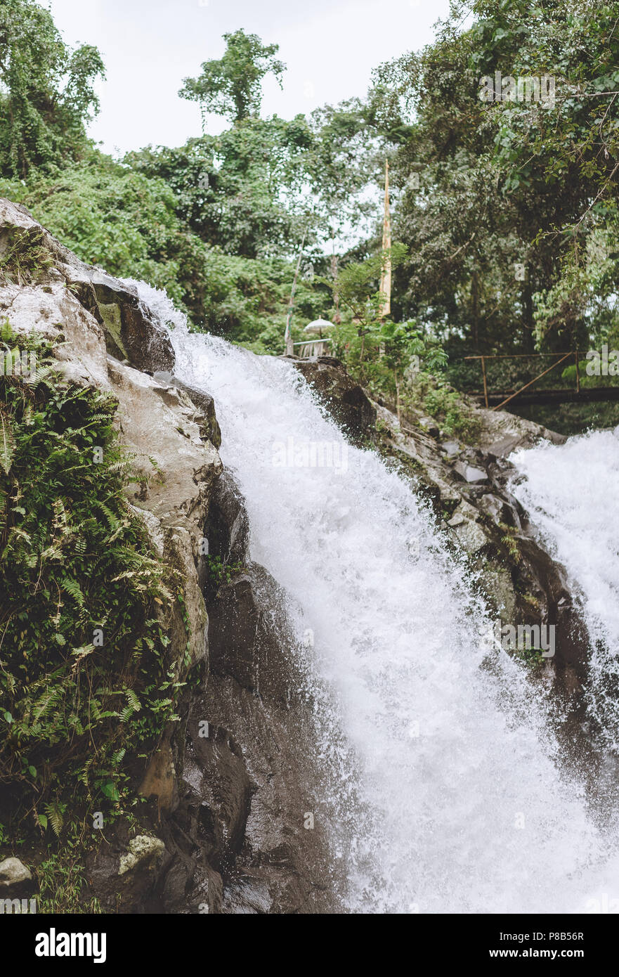 Vue panoramique de cascade de Gitgit et diverses plantes vertes, Bali, Indonésie Banque D'Images
