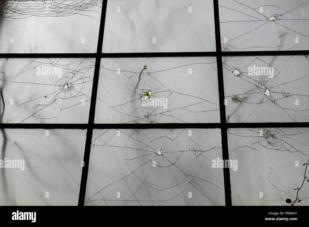 Derrière les branches du verre brisé. Résumé objets transparents sur 12.2005 arrière-plan de la fenêtre. Banque D'Images
