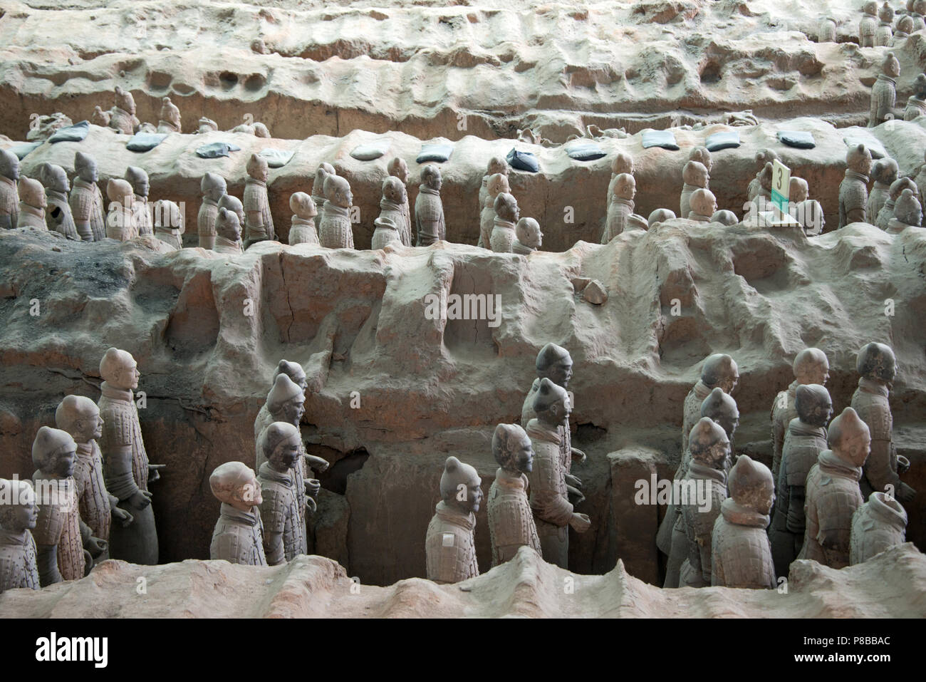 Sculptures de l'Armée de terre cuite au Musée des soldats en terre cuite de Qin et les chevaux