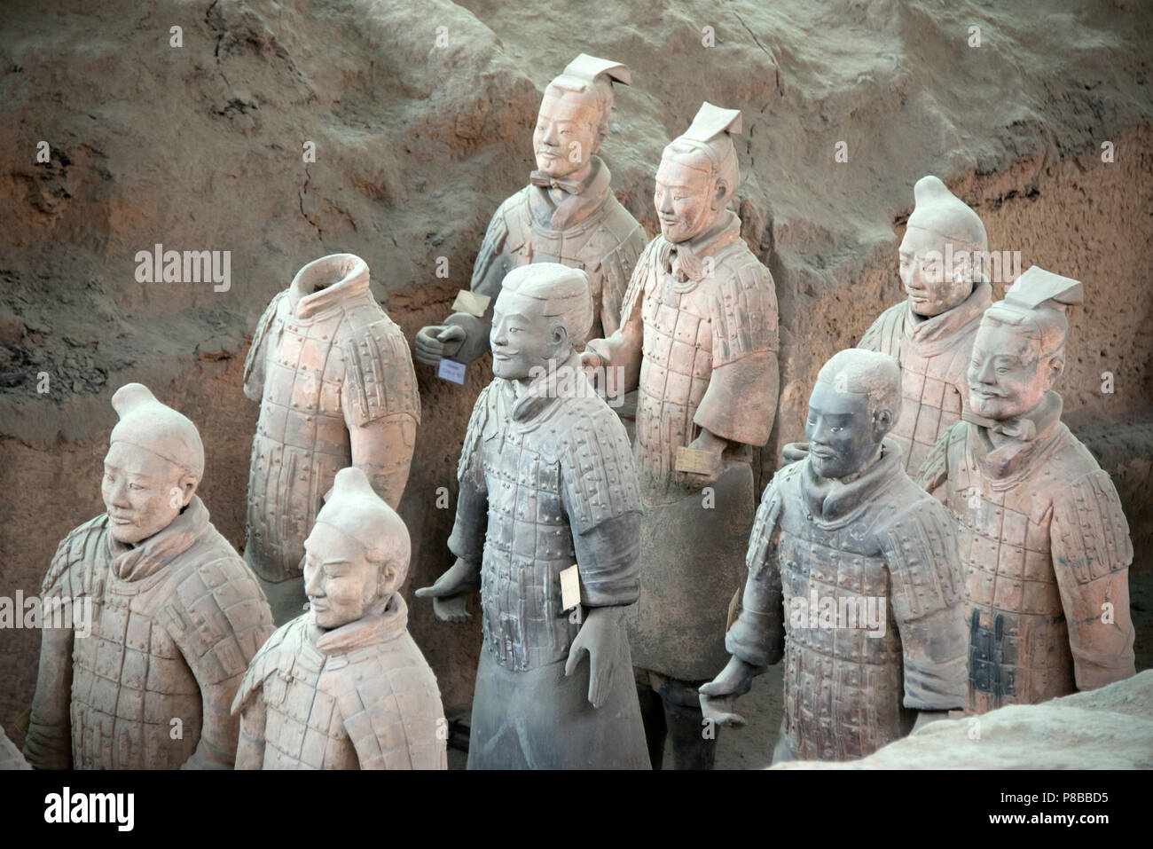Sculptures de l'Armée de terre cuite au Musée des soldats en terre cuite de Qin et les chevaux