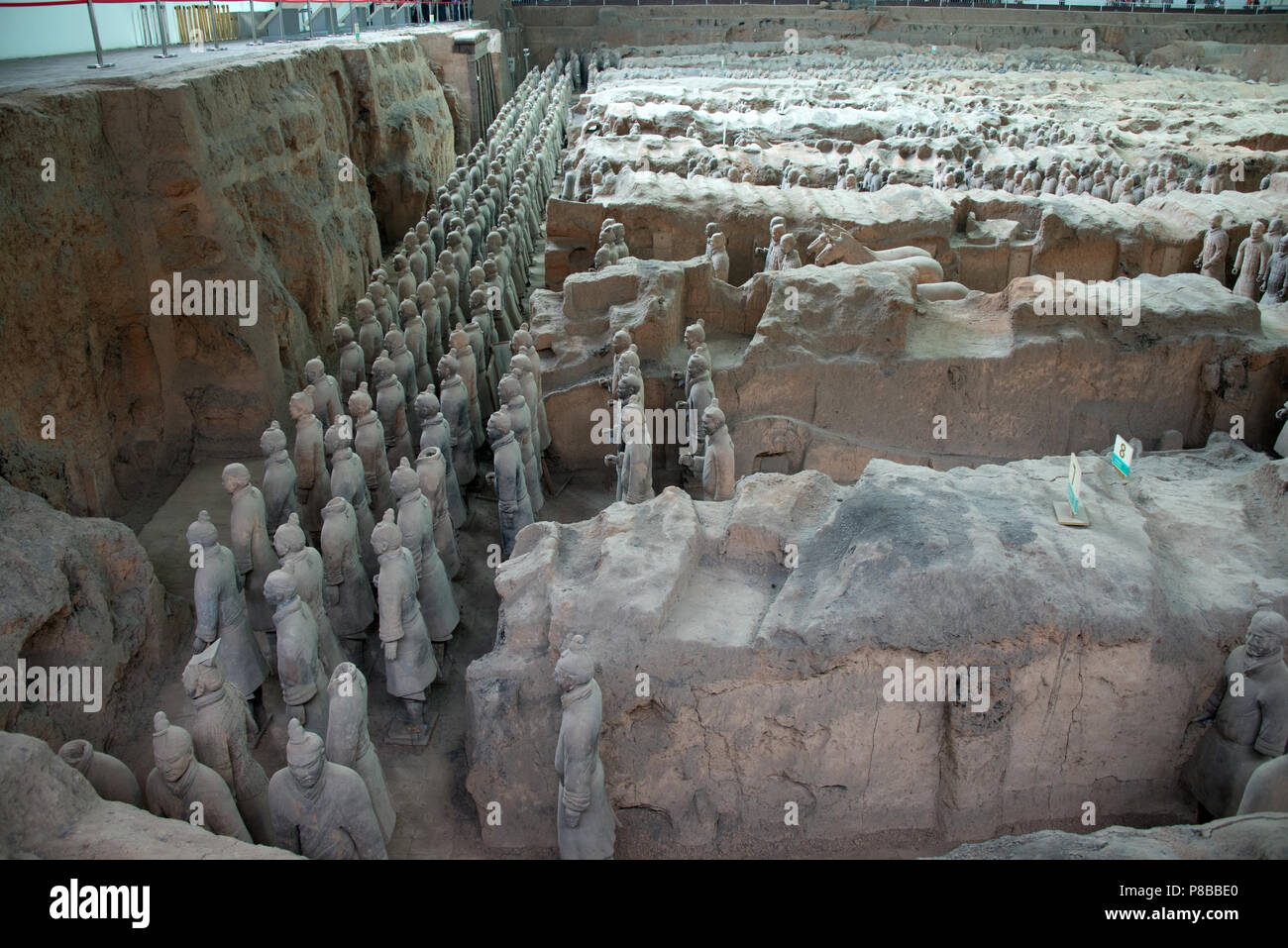 Sculptures de l'Armée de terre cuite au Musée des soldats en terre cuite de Qin et les chevaux
