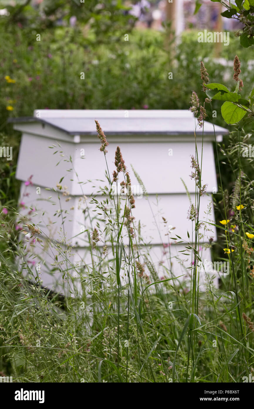 Ruche dans une prairie de fleurs sauvages. Banque D'Images