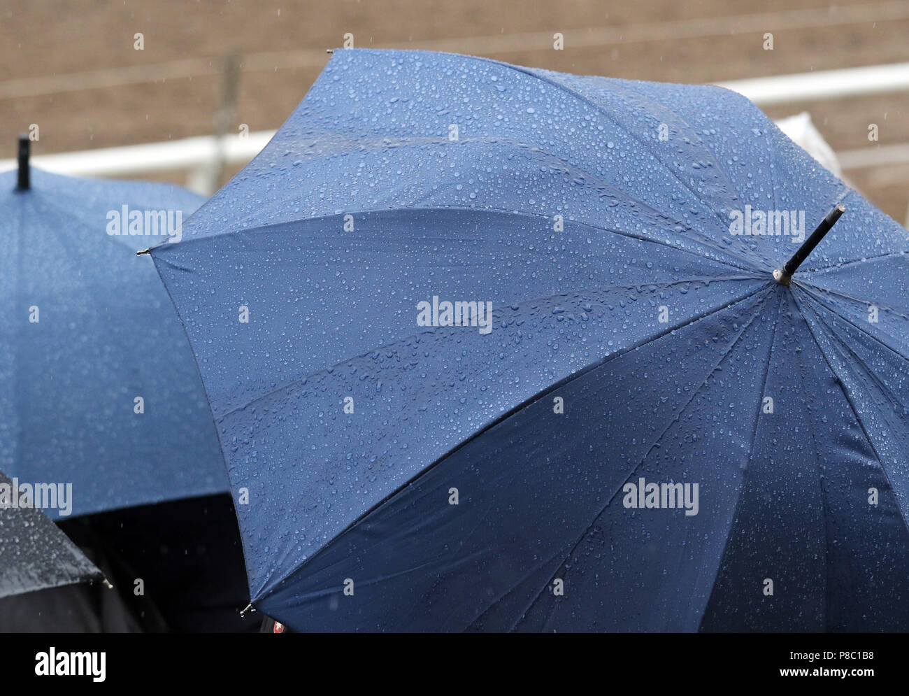Ganschow, Allemagne, gouttes de pluie sur les parasols Banque D'Images