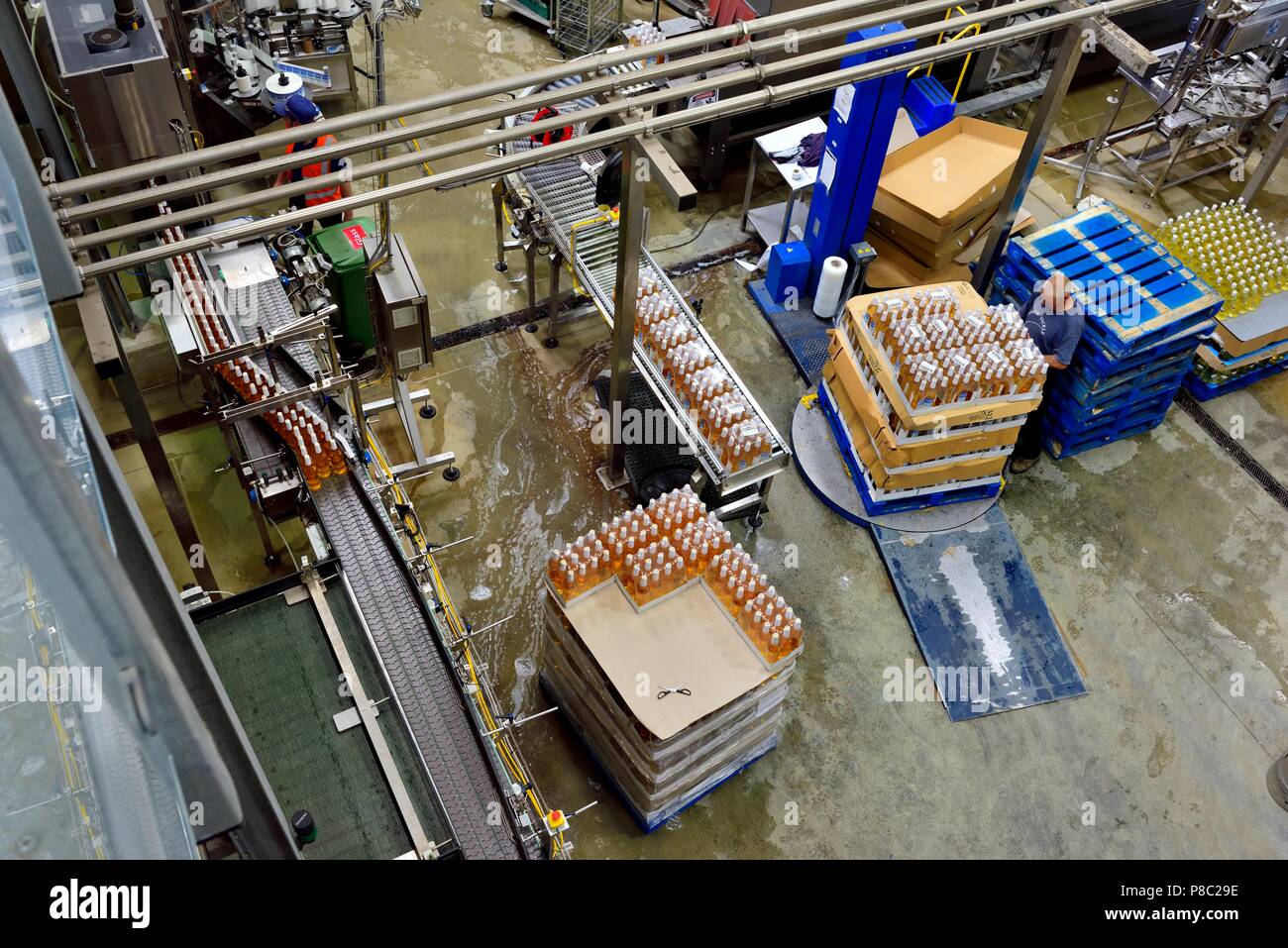 L'homme les cas d'empilage de palettes sur une platine, Healeys Cornish Cyder Farm,Penhallow, Truro, Cornwall, Angleterre, Royaume-Uni Banque D'Images