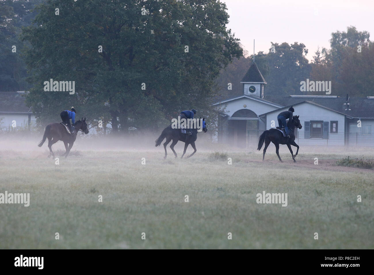 Hoppegarten, chevaux et cavaliers au travail le matin dans le brouillard Banque D'Images