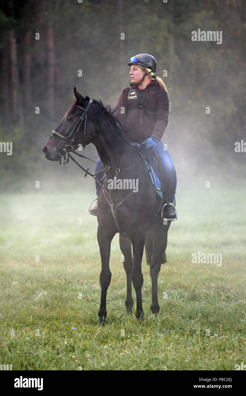 Hoppegarten, Cheval et cavalier dans la matinée sur un tour dans le brouillard. Lady Lilian avec Friederike Schloms Banque D'Images