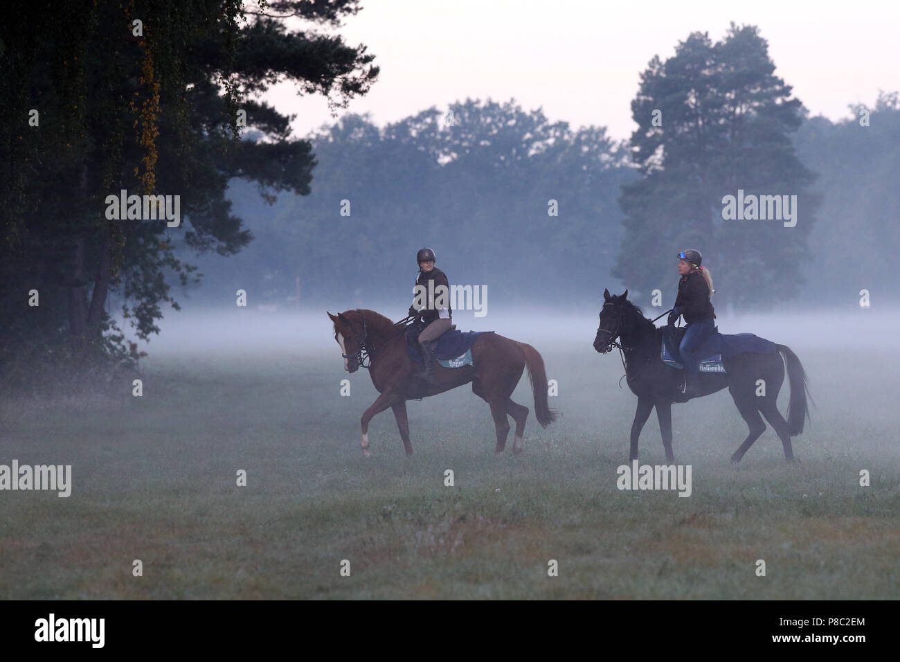 Hoppegarten, chevaux et cavaliers dans la matinée sur une balade dans le brouillard Banque D'Images