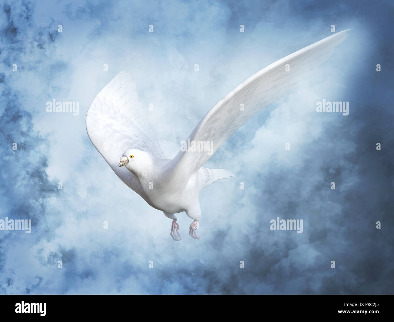 Pigeon Blanc Banque D Image Et Photos Alamy