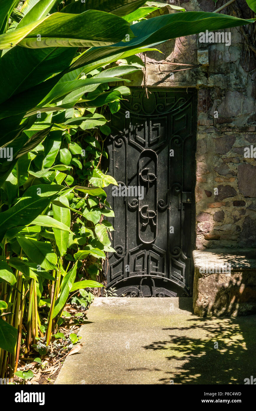 Une vieille porte en bois patiné avec finition en fer forgé situé dans un mur de pierre sur le terrain parmi les grandes plantes tropicales Banque D'Images