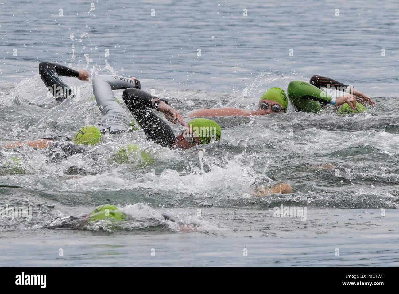 Les nageurs au cours de la Haye 2018 Festival Endurance Triathlon olympique Banque D'Images