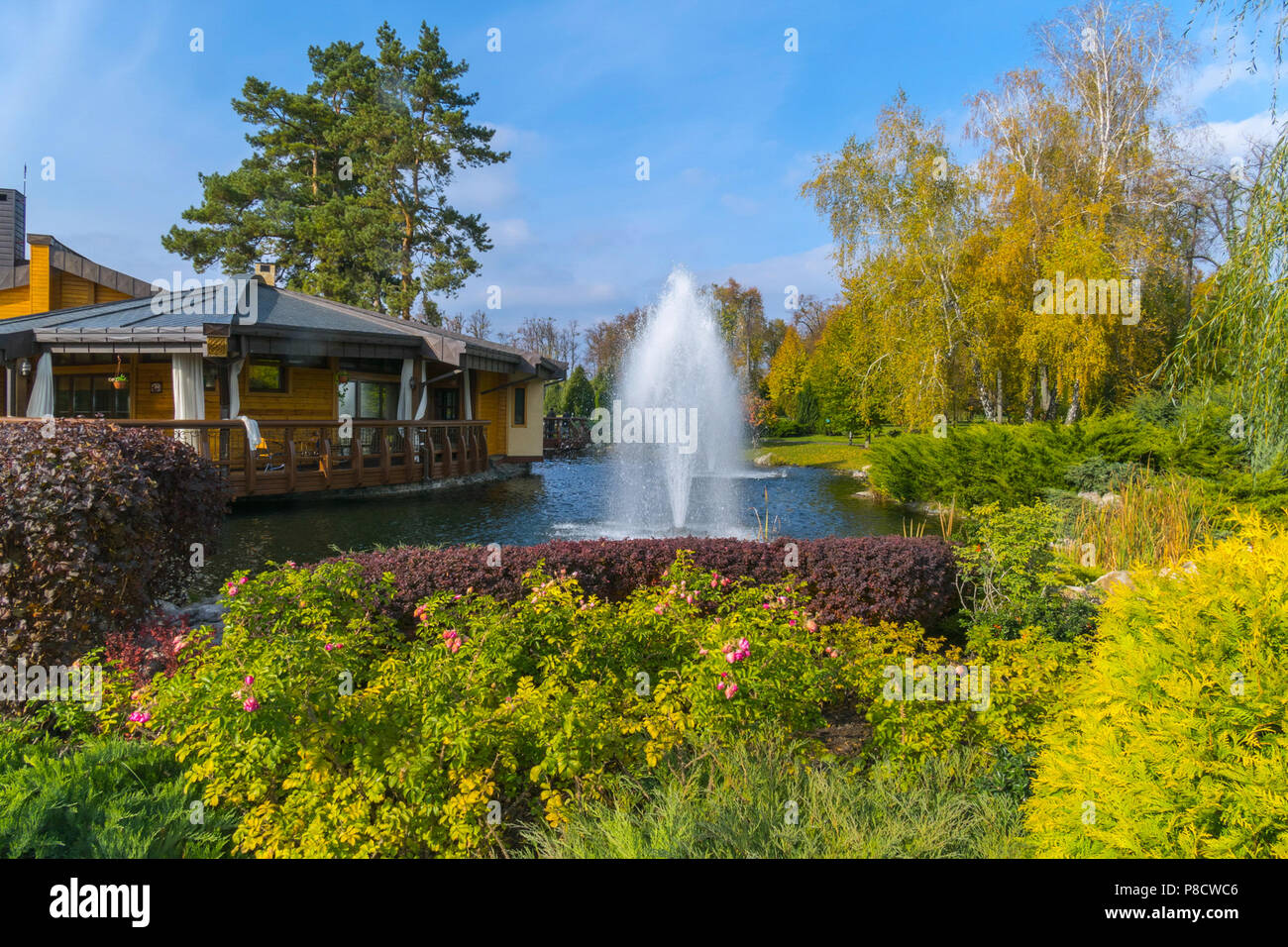 Parterres de roses roses avec sur l'arrière-plan d'un lac avec une fontaine et d'un grand restaurant en bois . Pour votre conception Banque D'Images