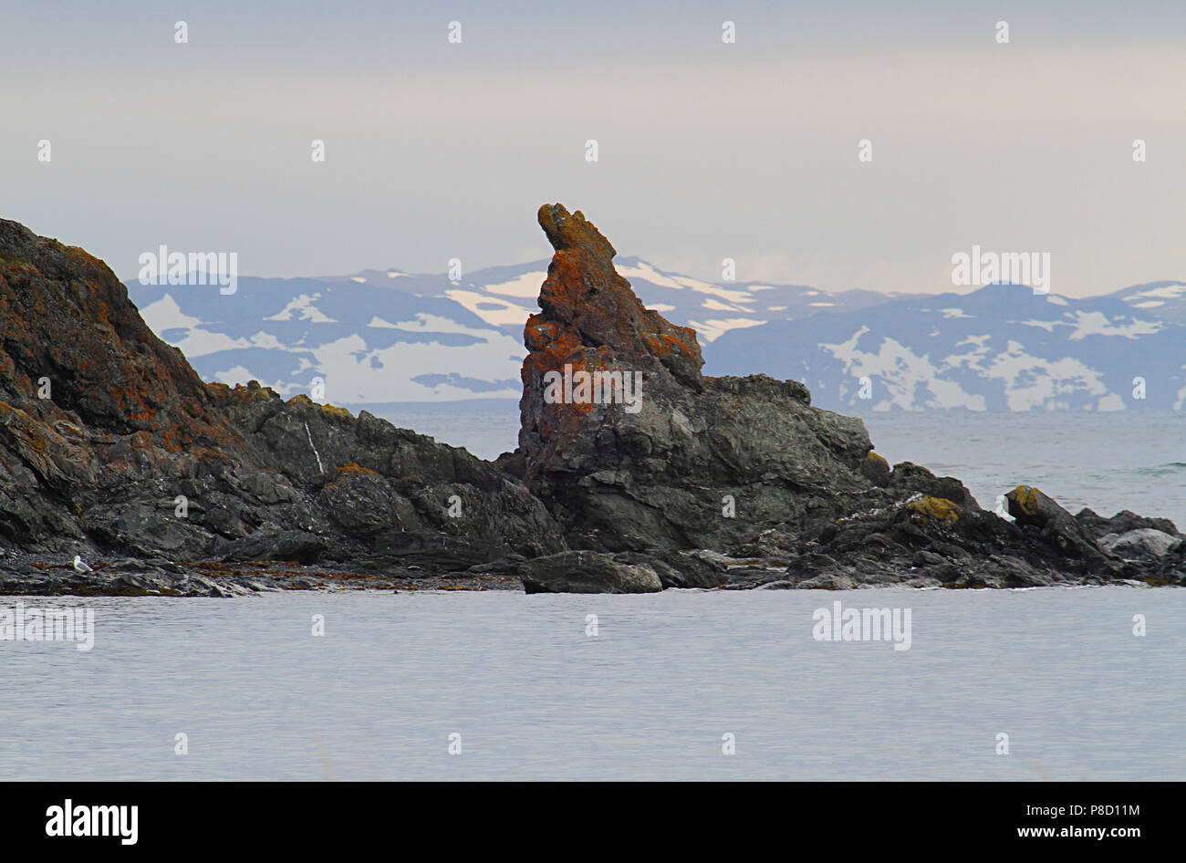 Carnet de Voyages, Terre-Neuve, Canada, Paysages et panoramiques, province canadienne, 'The Rock' Banque D'Images