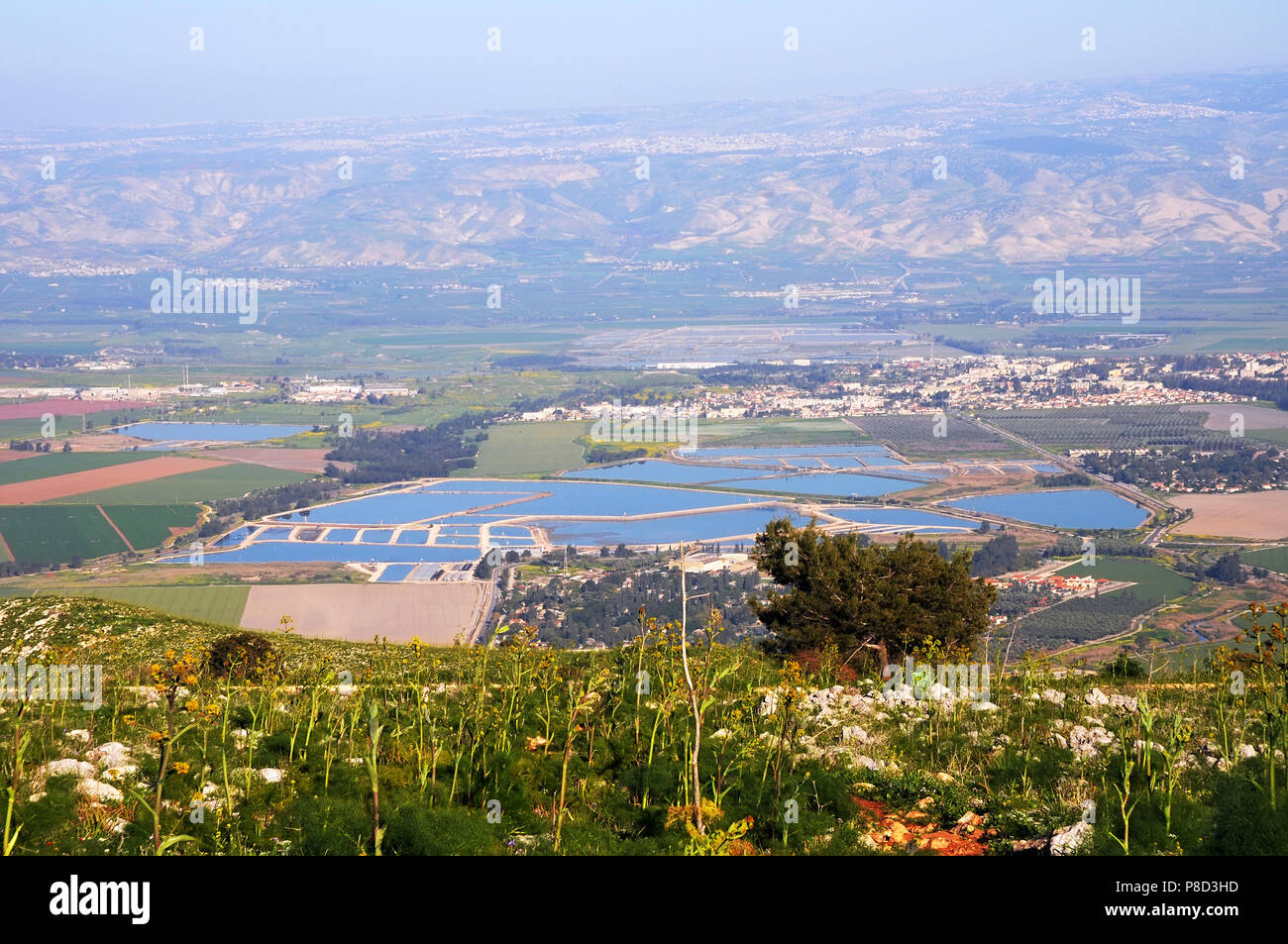 La vallée de Beit She'an, Israël Banque D'Images
