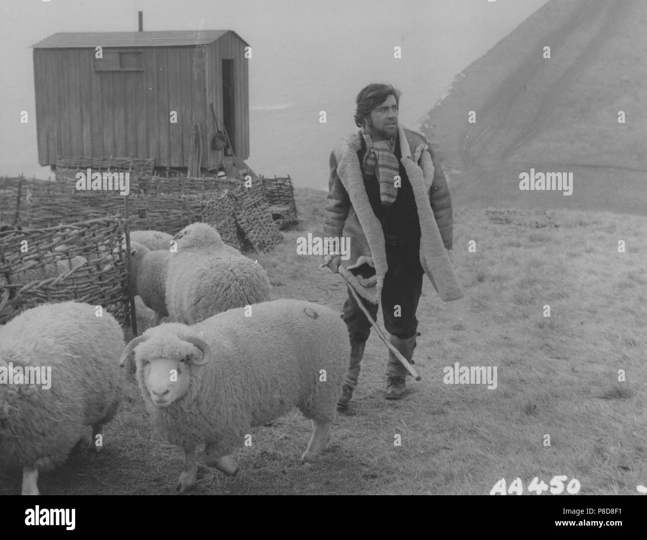 Loin de la foule (1968) Alan Bates, Date : 1968 Banque D'Images