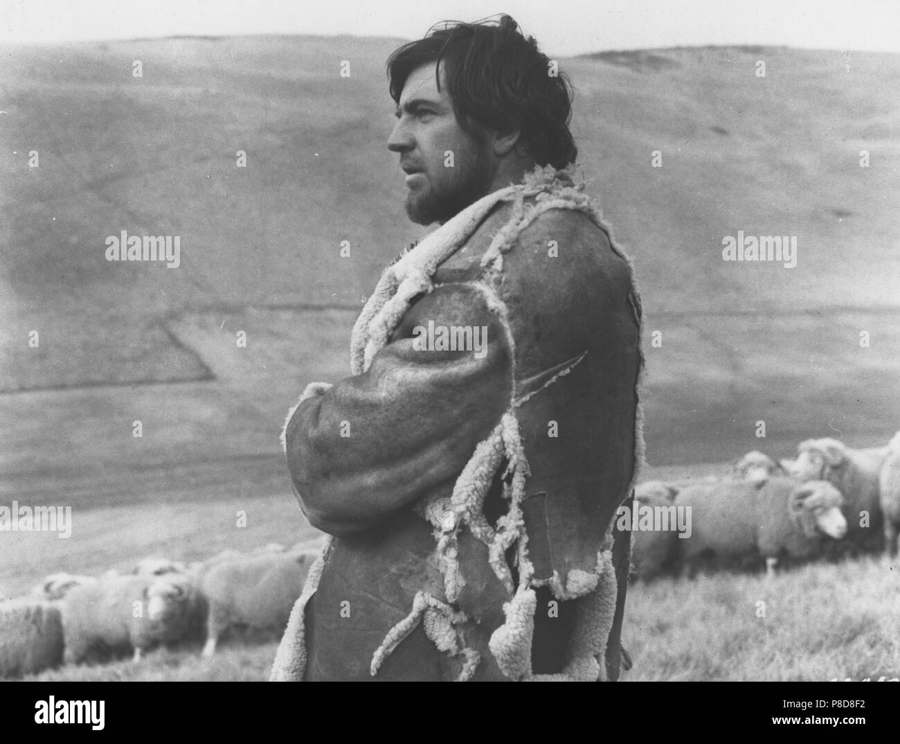 Loin de la foule (1968) Alan Bates, Date : 1968 Banque D'Images