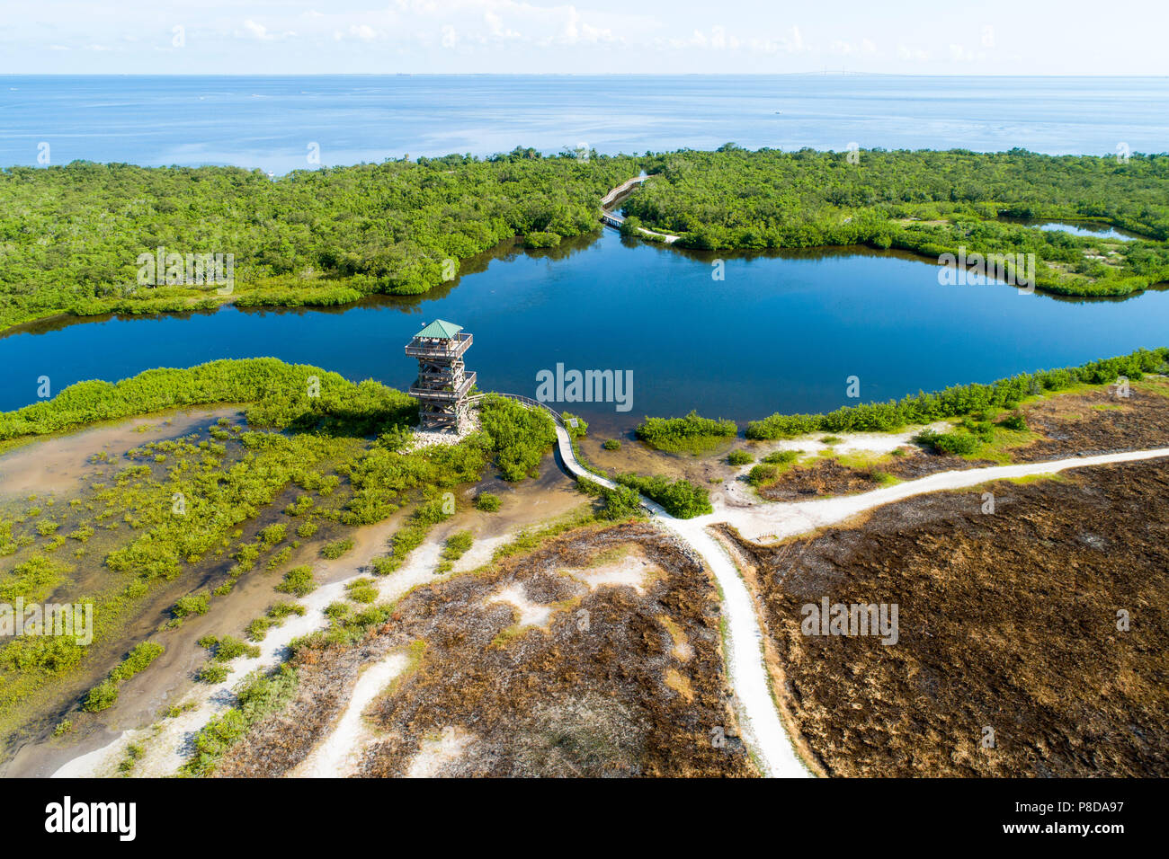 Robinson Préserver Bradenton, une mosaïque de 487 hectares de vasières, marais à mangroves, plages et tour d'observation ainsi que de nombreux sentiers de randonnée pédestre et de vélo Banque D'Images