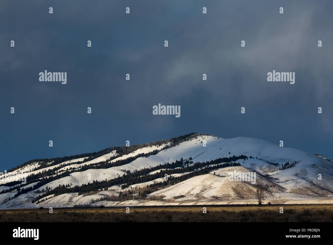 Une tempête d'hiver laissant tomber des averses de neige au-dessus de Blacktail Butte à Jackson Hole. Parc National de Grand Teton, Wyoming Banque D'Images