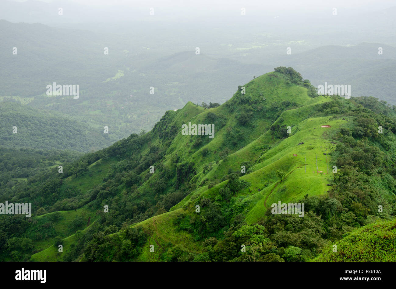 Belle vue sur le paysage verdoyant de Mahadevgad point pendant la saison de mousson à Amboli, Maharashtra, Inde. Banque D'Images