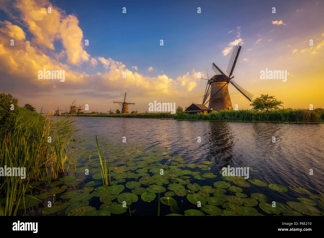 Coucher du soleil au-dessus de vieux moulins à vent de Kinderdijk en néerlandais, Pays-Bas Banque D'Images