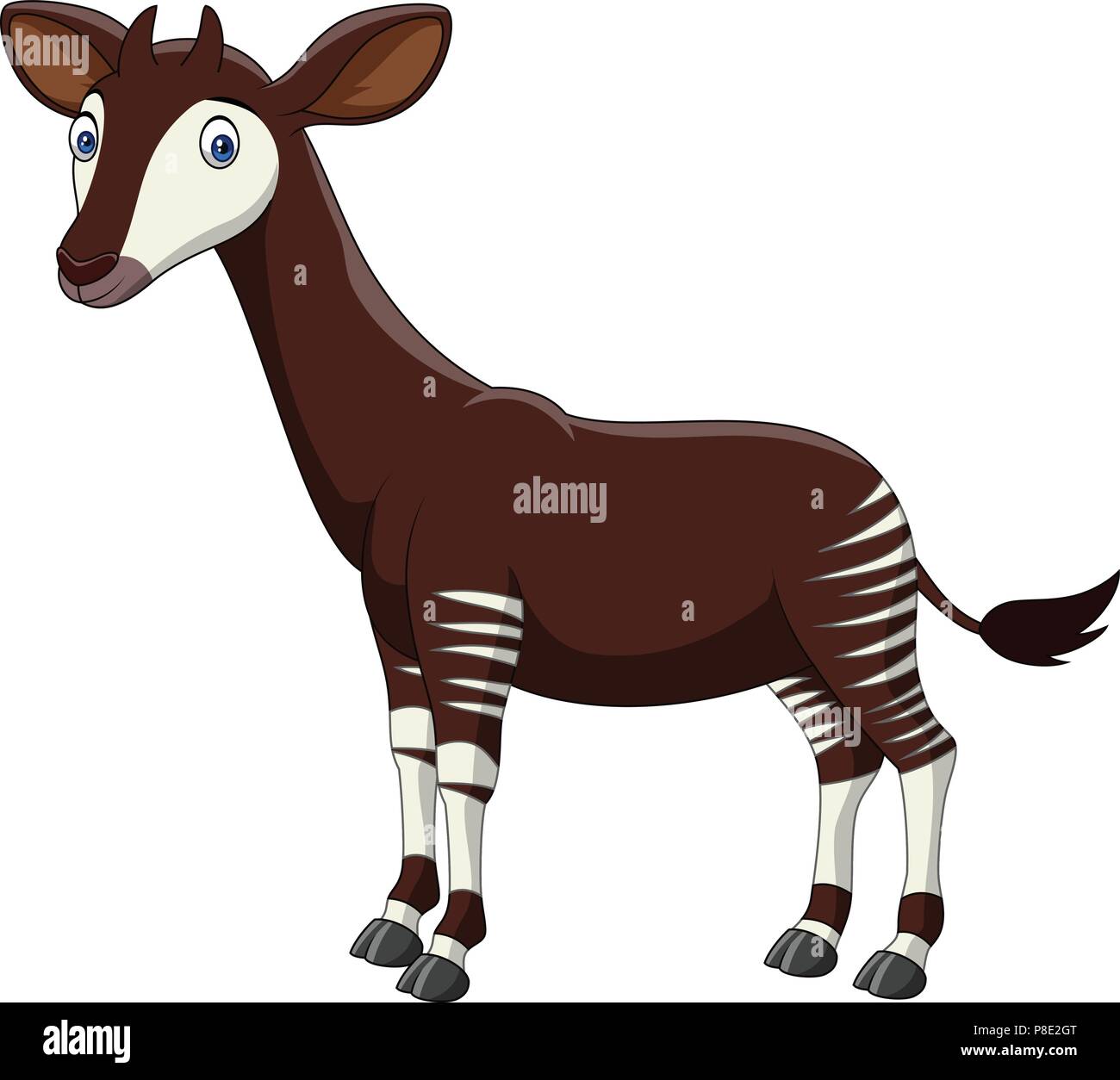Cartoon okapi isolé sur fond blanc Illustration de Vecteur