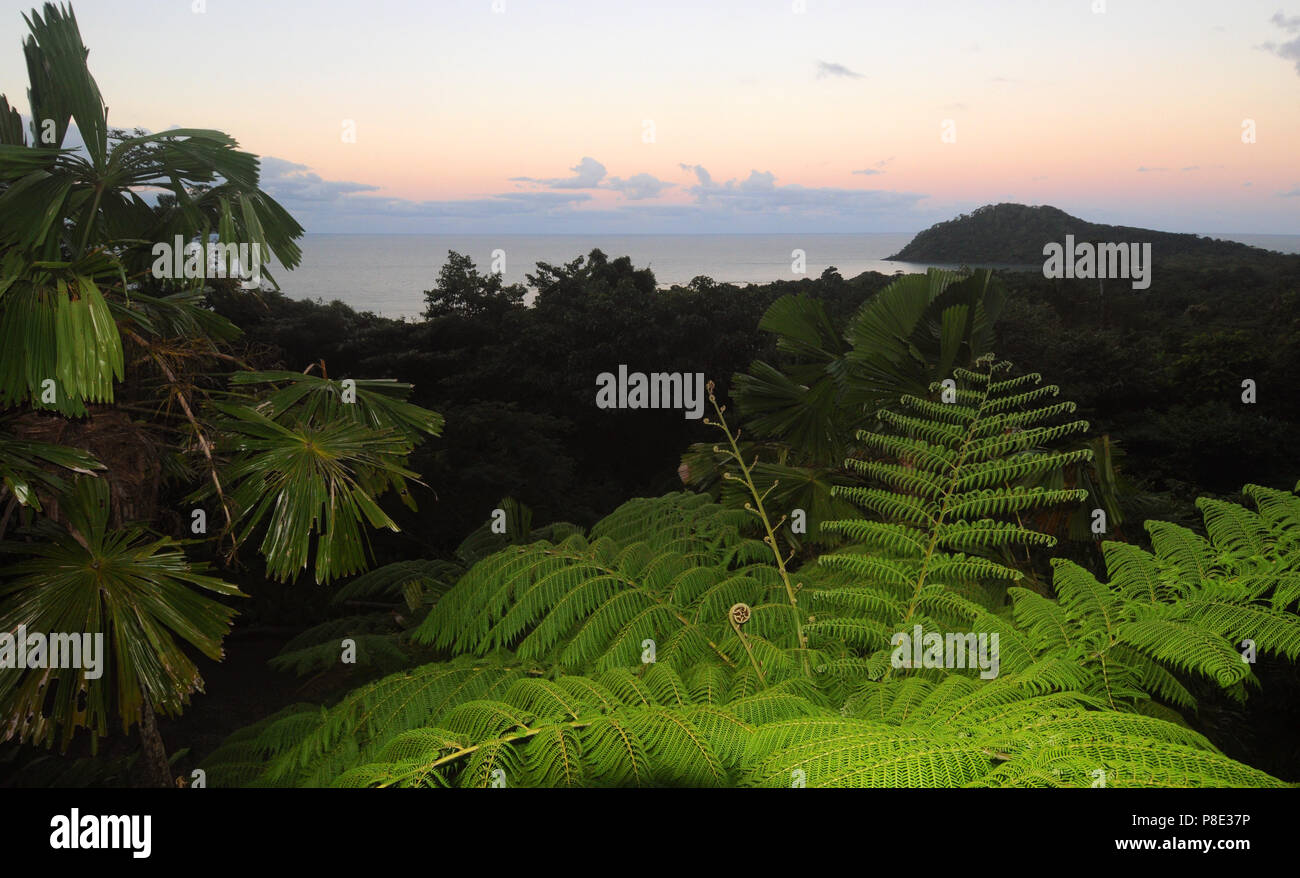 Crépuscule sur la canopée de la forêt tropicale avec vue sur Cape Tribulation et la mer de corail, le parc national de Daintree, Queensland, Australie Banque D'Images