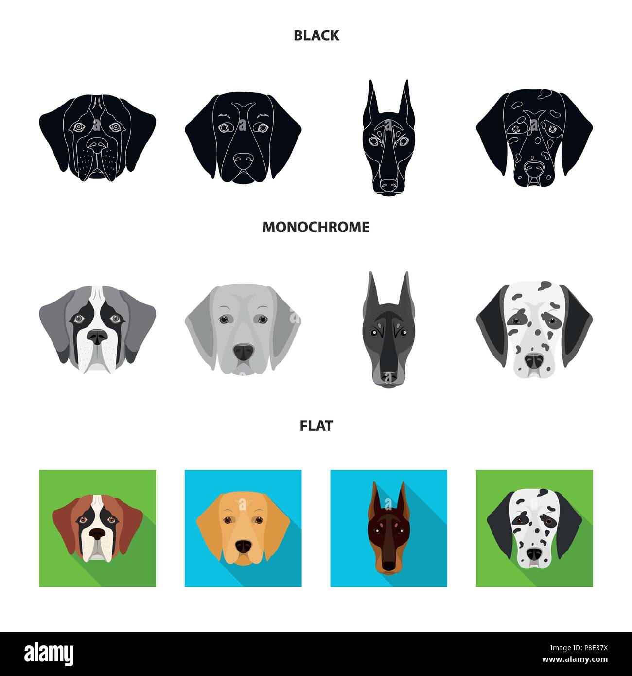 Museau De Différentes Races De Chienschien De La Race Saint