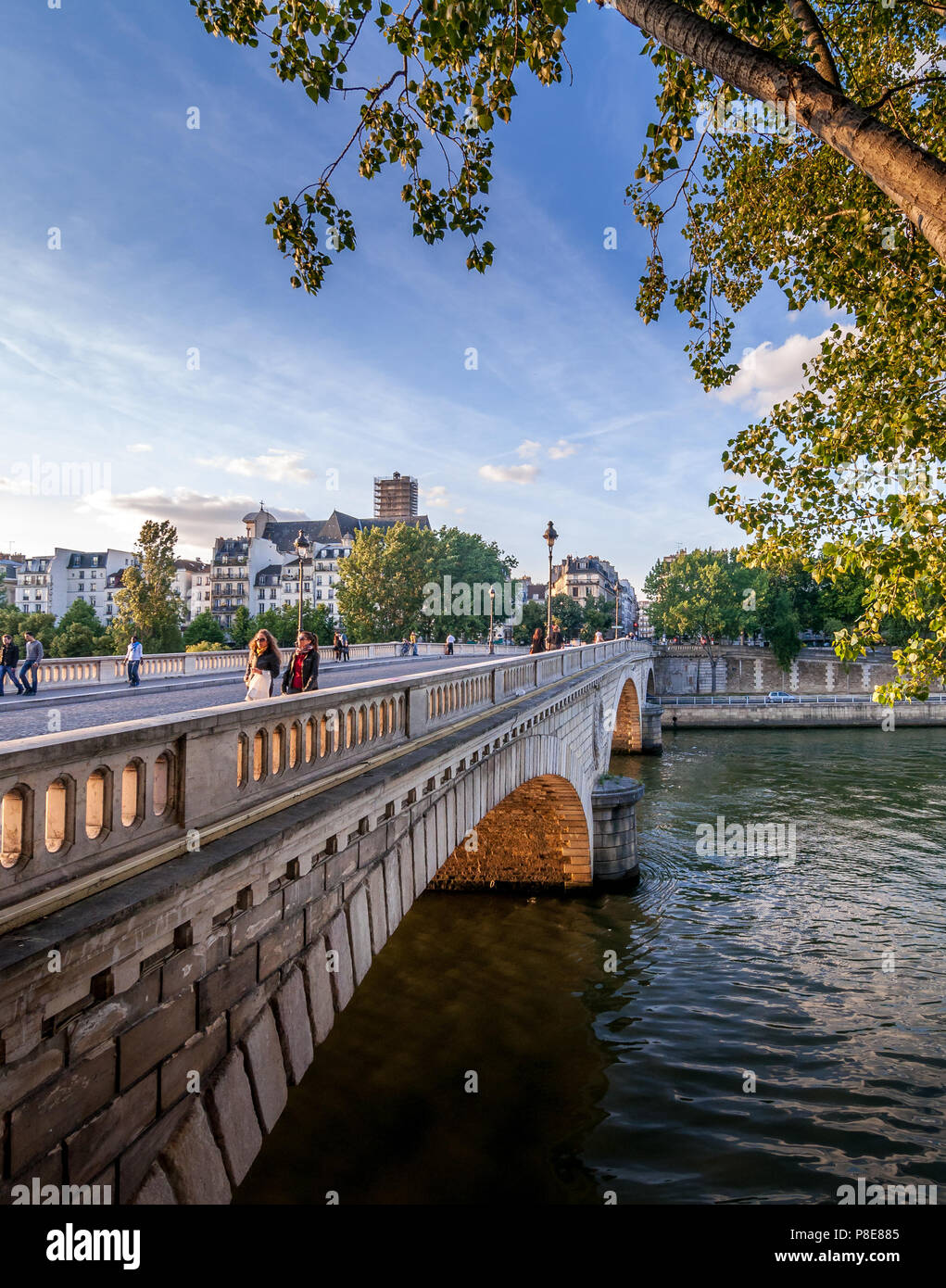 L'un des nombreux pont qui la Seine à Paris, France. Banque D'Images
