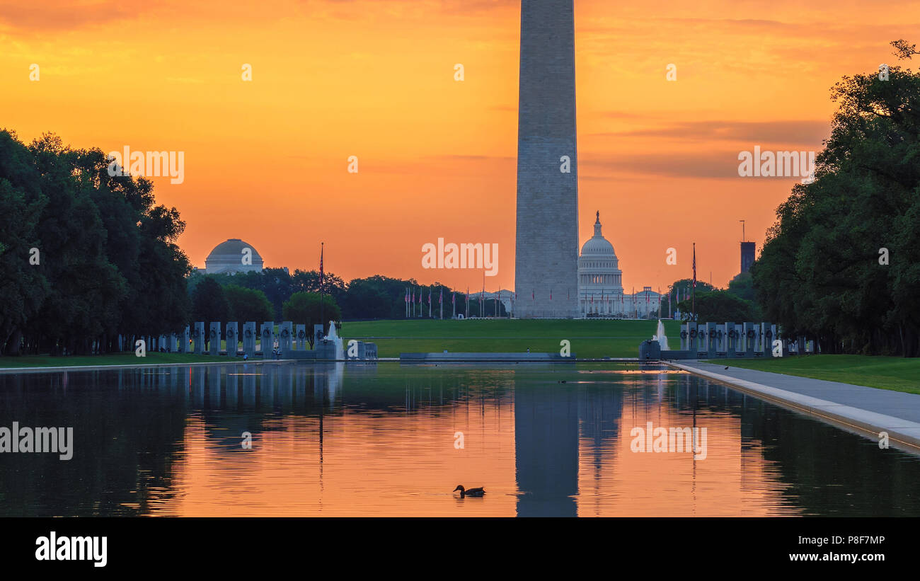 Washington Monument au lever du soleil à Washington DC Banque D'Images