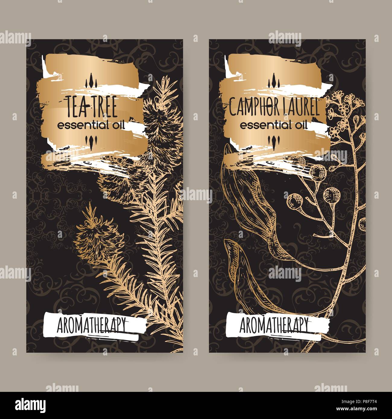 2 étiquettes avec l'arbre de thé et camphorwood croquis branche sur fond noir. Illustration de Vecteur