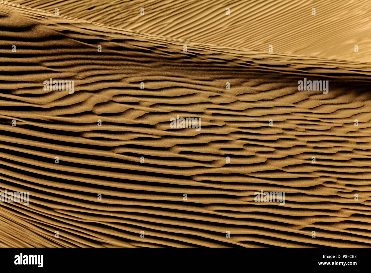 Close-up de dunes de sable dans le désert, l'Arabie Saoudite Banque D'Images