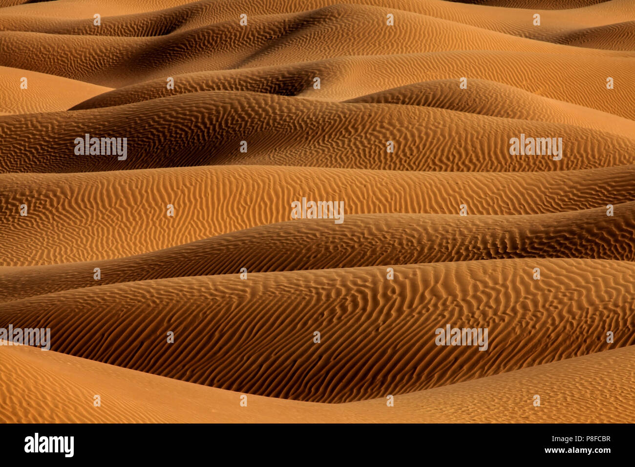 Close-up de dunes de sable dans le désert, l'Arabie Saoudite Banque D'Images