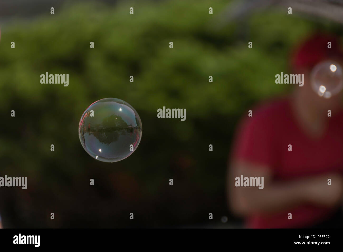 Bulle de savon flottant dans l'air un jour d'été Banque D'Images