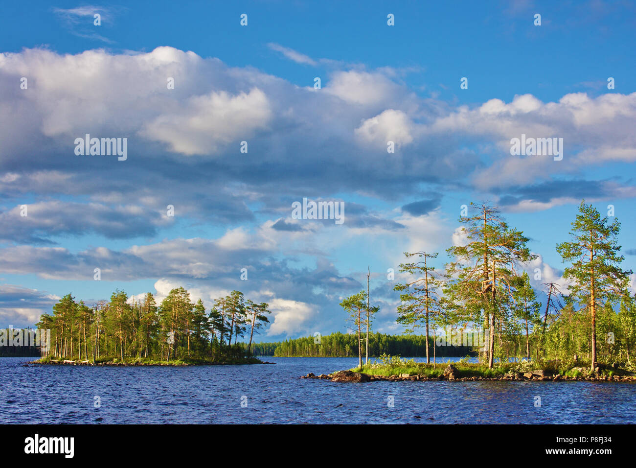 Une île avec des pins sur un lac Banque D'Images