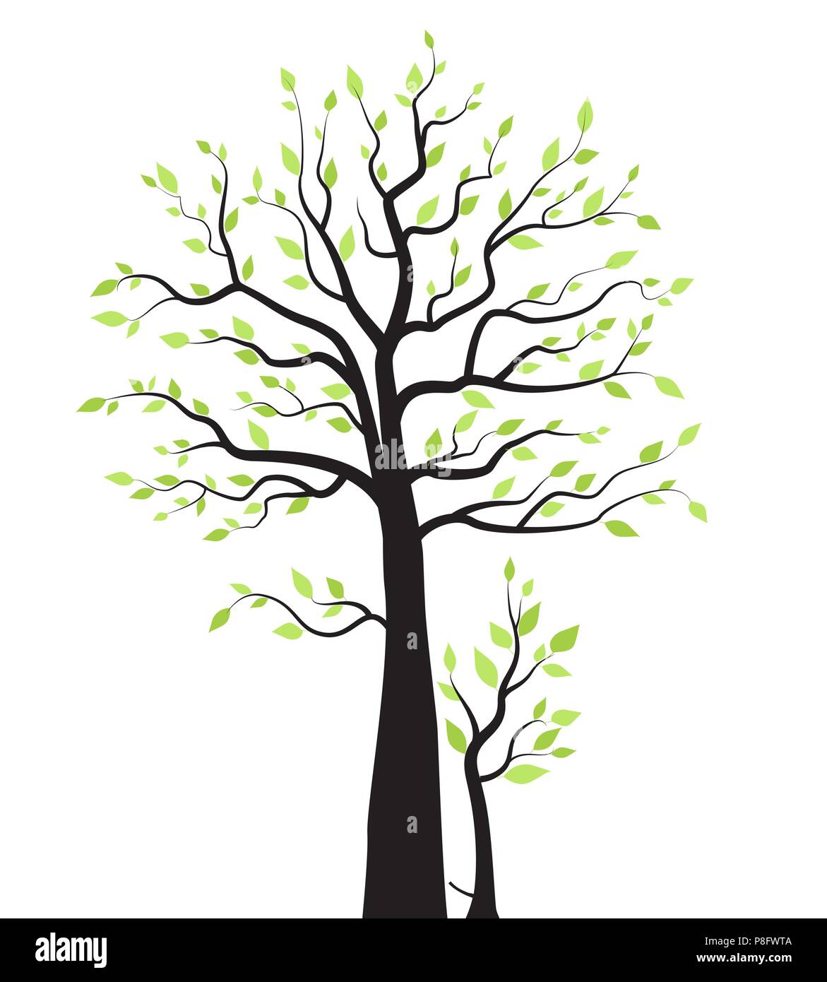 Vector illustration d'un arbre avec des feuilles sur fond blanc Illustration de Vecteur