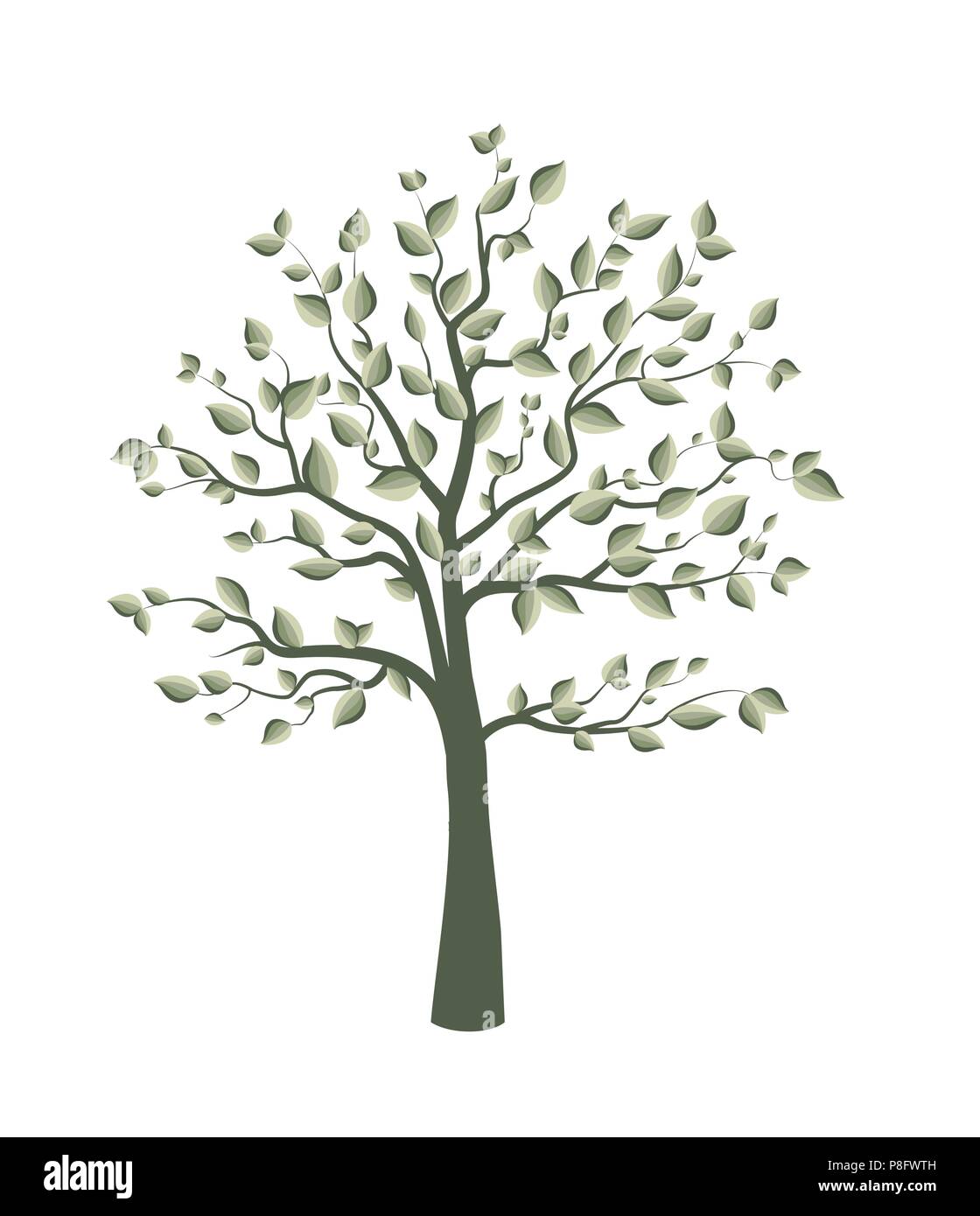 Vector illustration d'un arbre avec des feuilles sur fond blanc Illustration de Vecteur