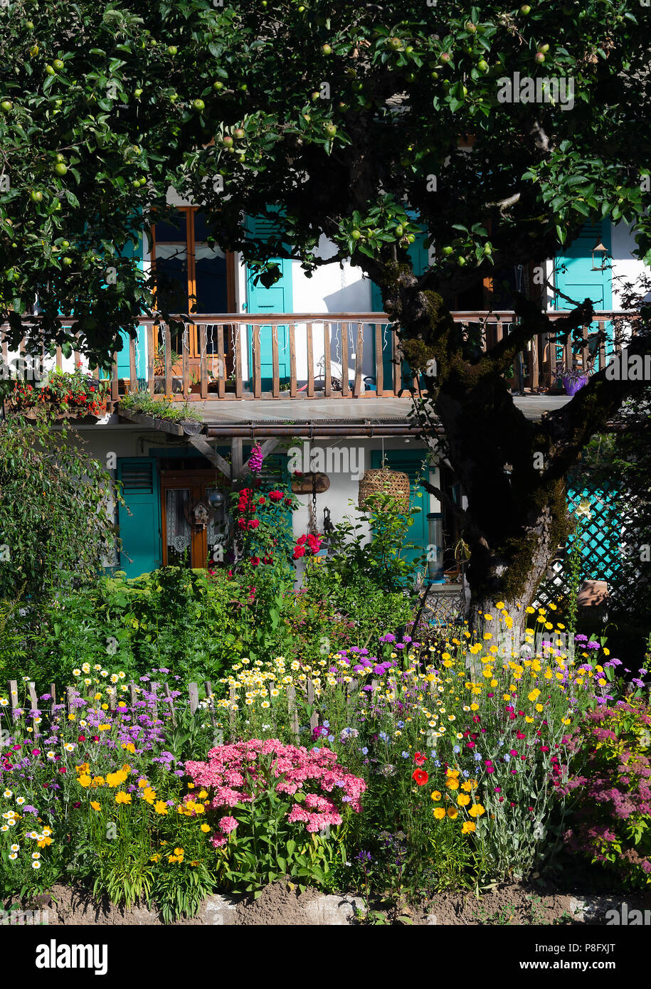 Un beau jardin fleuri d'été coloré à l'extérieur d'un chalet avec un balcon près de Morzine haute-Savoie portes du Soleil Alpes françaises France Banque D'Images