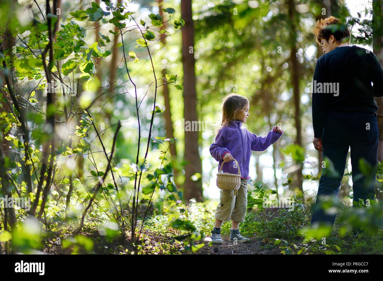 Grand-mère et sa petite-fille cueillir des baies dans la forêt Banque D'Images