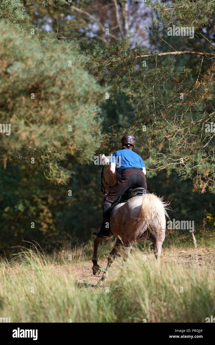 Zernikow, woman riding a galoper sur son cheval à travers une forêt Banque D'Images