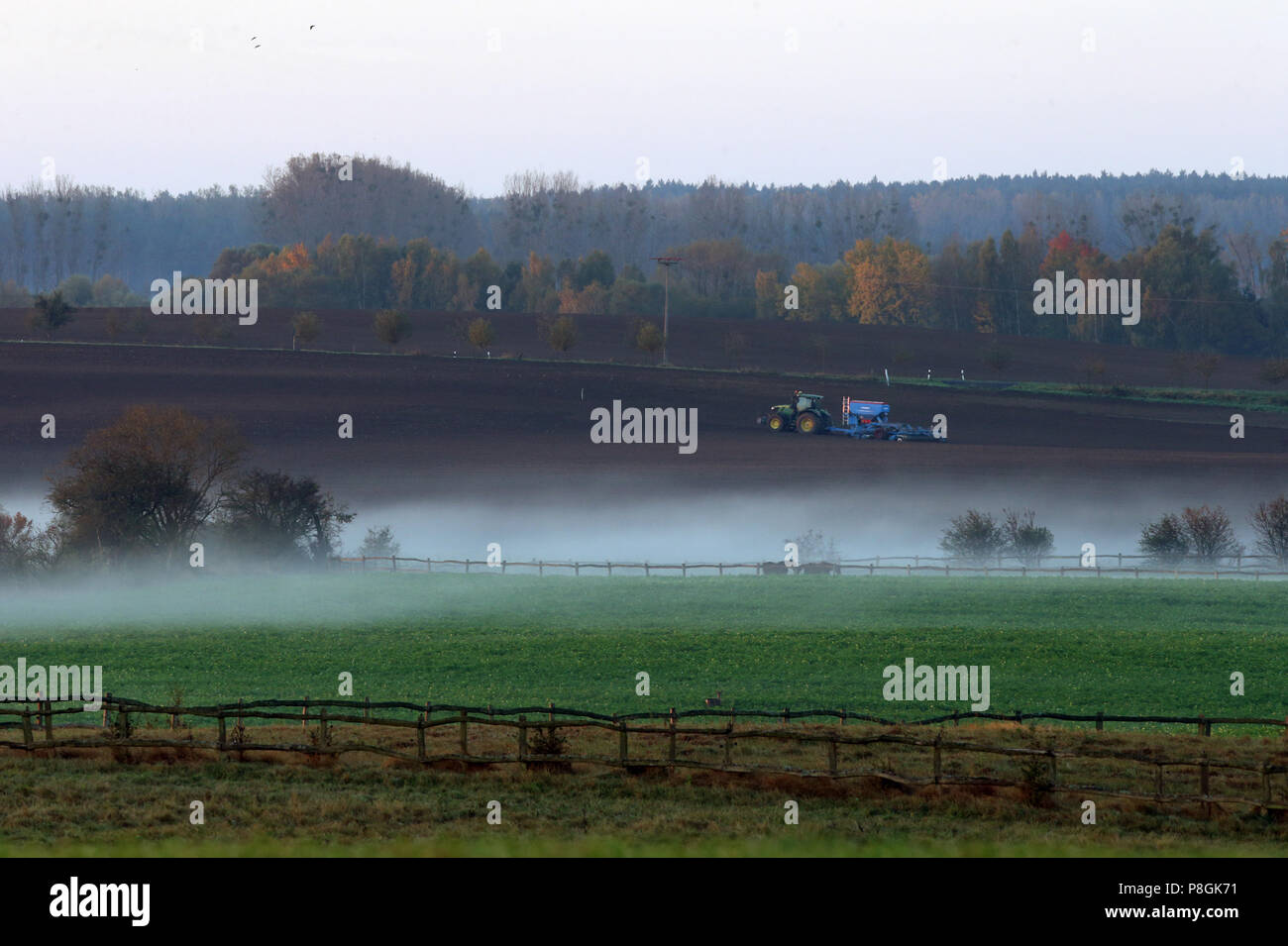 Goerlsdorf, l'Allemagne, le tracteur dans la matinée sur un champ dans l'Uckermark Banque D'Images