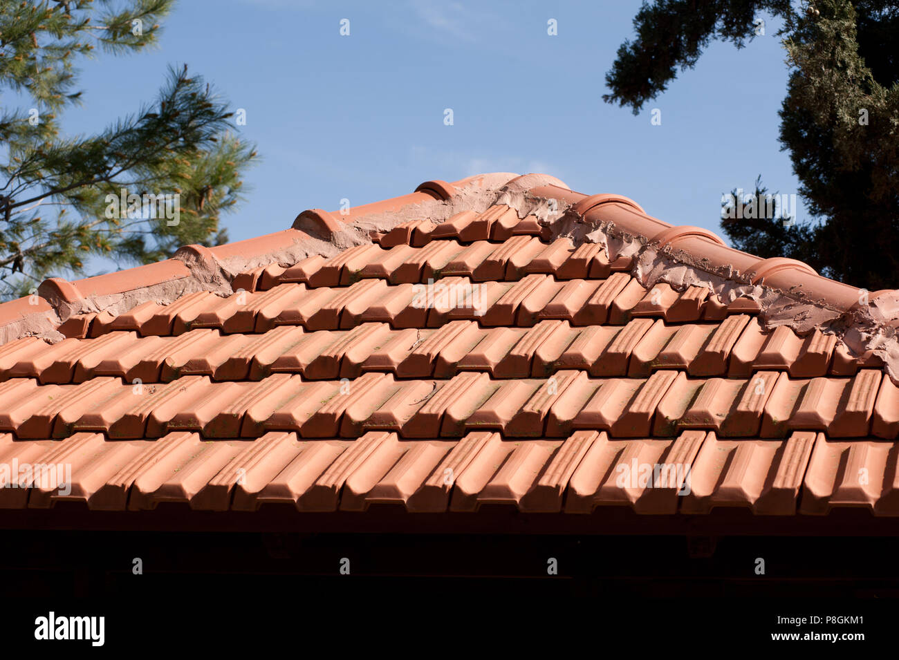 toit rouge Banque D'Images