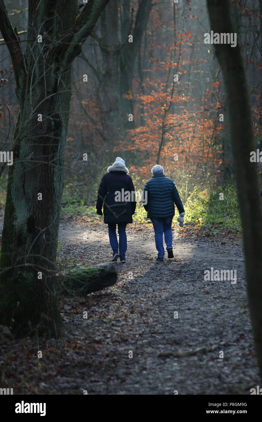 Berlin, Allemagne, les femmes faire une promenade dans Grunewald Banque D'Images